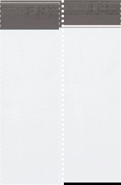 Courier Mailing Envelope: 10